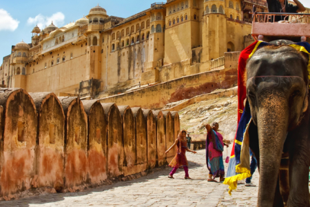 Castle Tour of Rajasthan